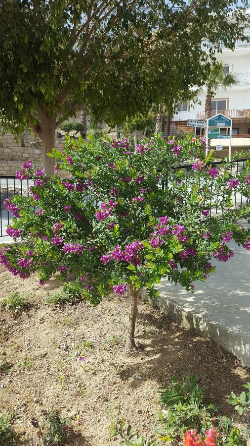 Lazaros Pissouri Apartments Exteriör bild